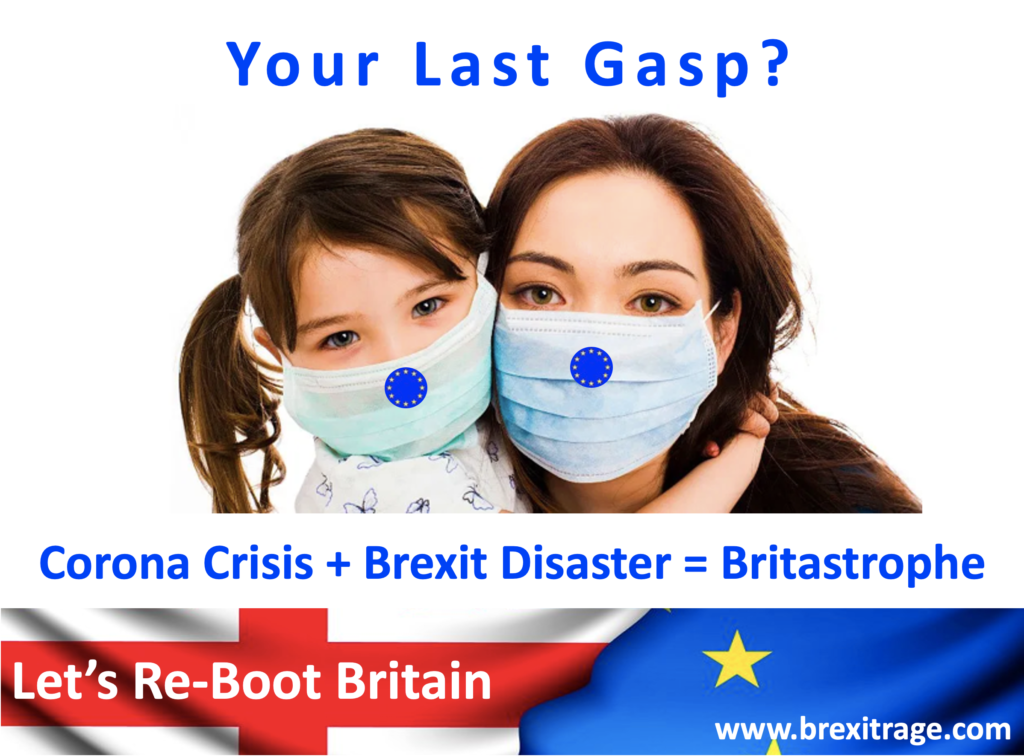 Re-Boot Britain - Suspend Brexit