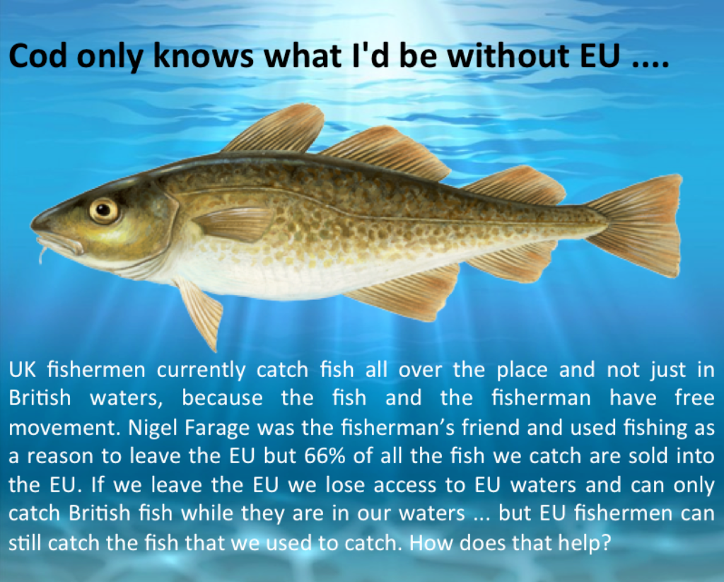 Brexit Fish Freedoms