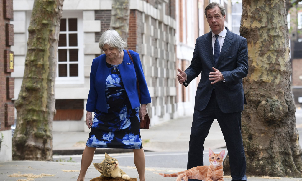 Cats Against Brexit Mayhem