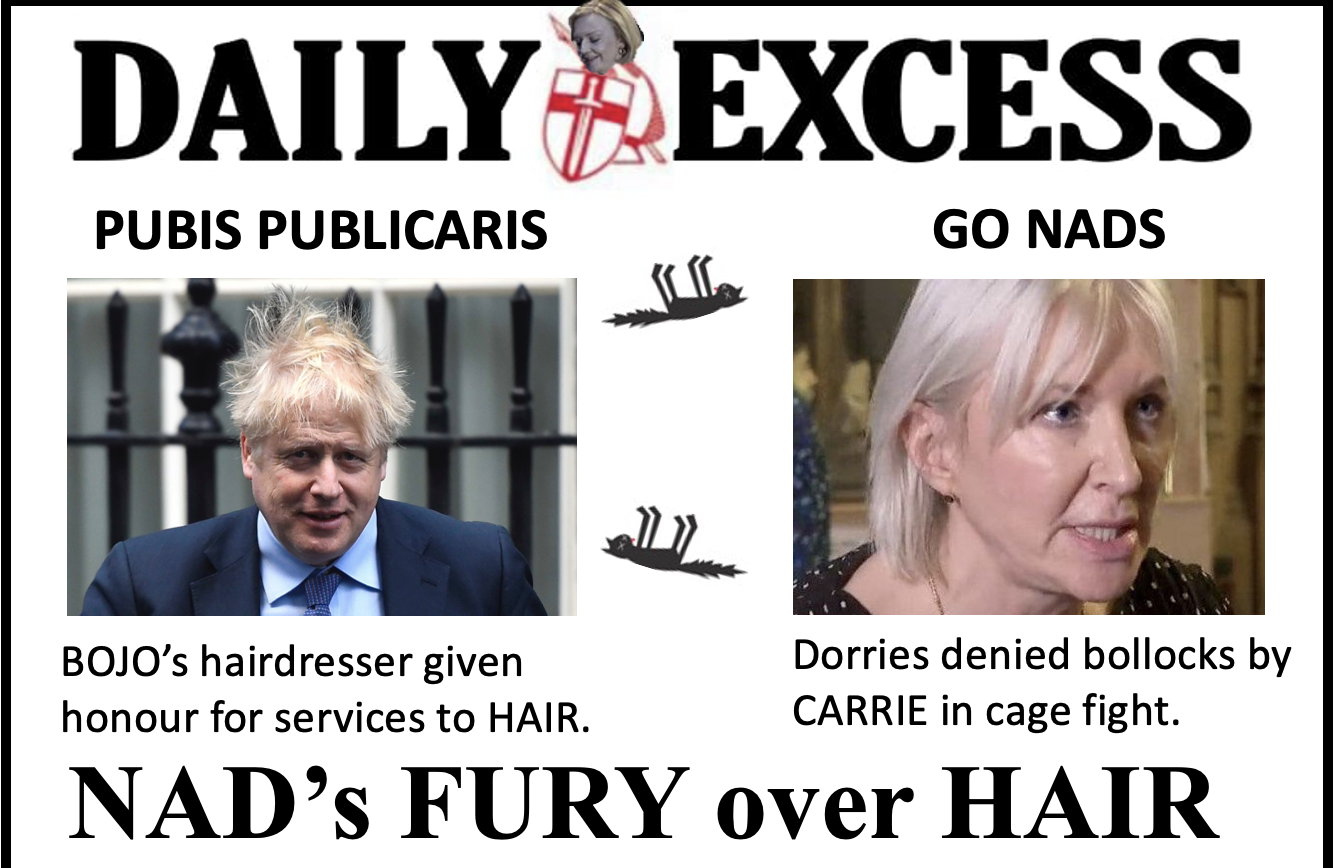 Daily Excess - Go Nads