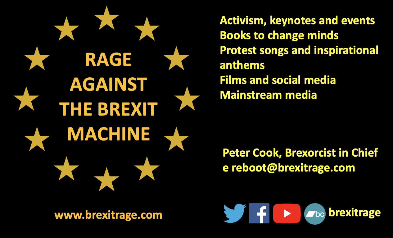 Rage Against The Brexit Machine