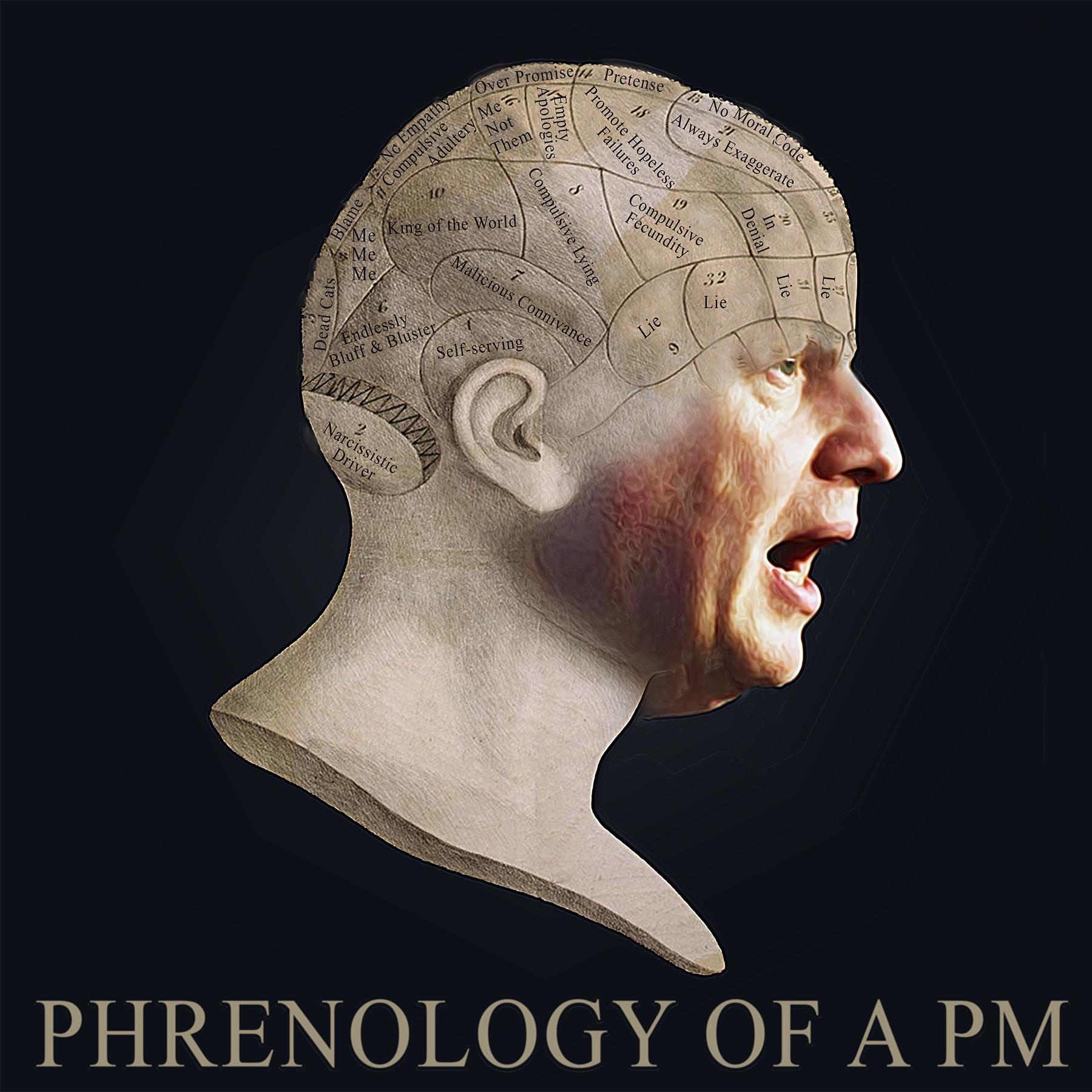 Phrenology-of-a-PM