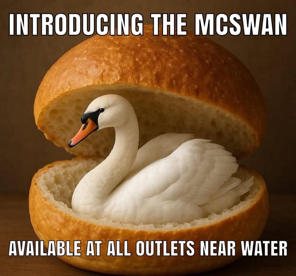 Mc Swan