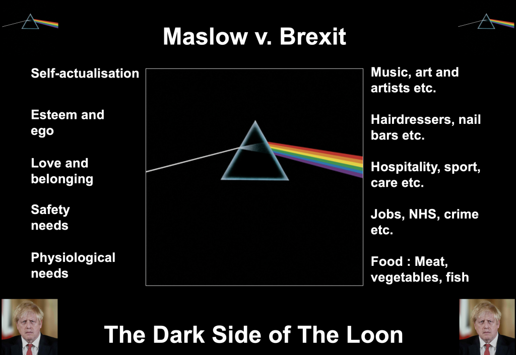 Brexit Dark Side of the Loon