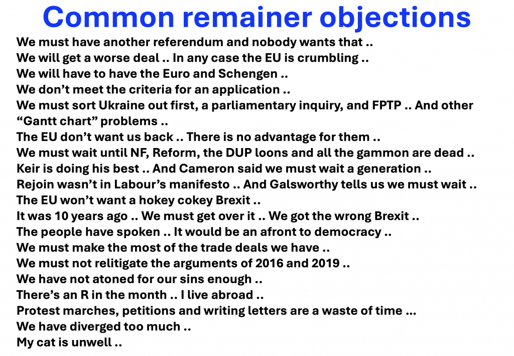 Remoaner Objections to Rejoining the EU