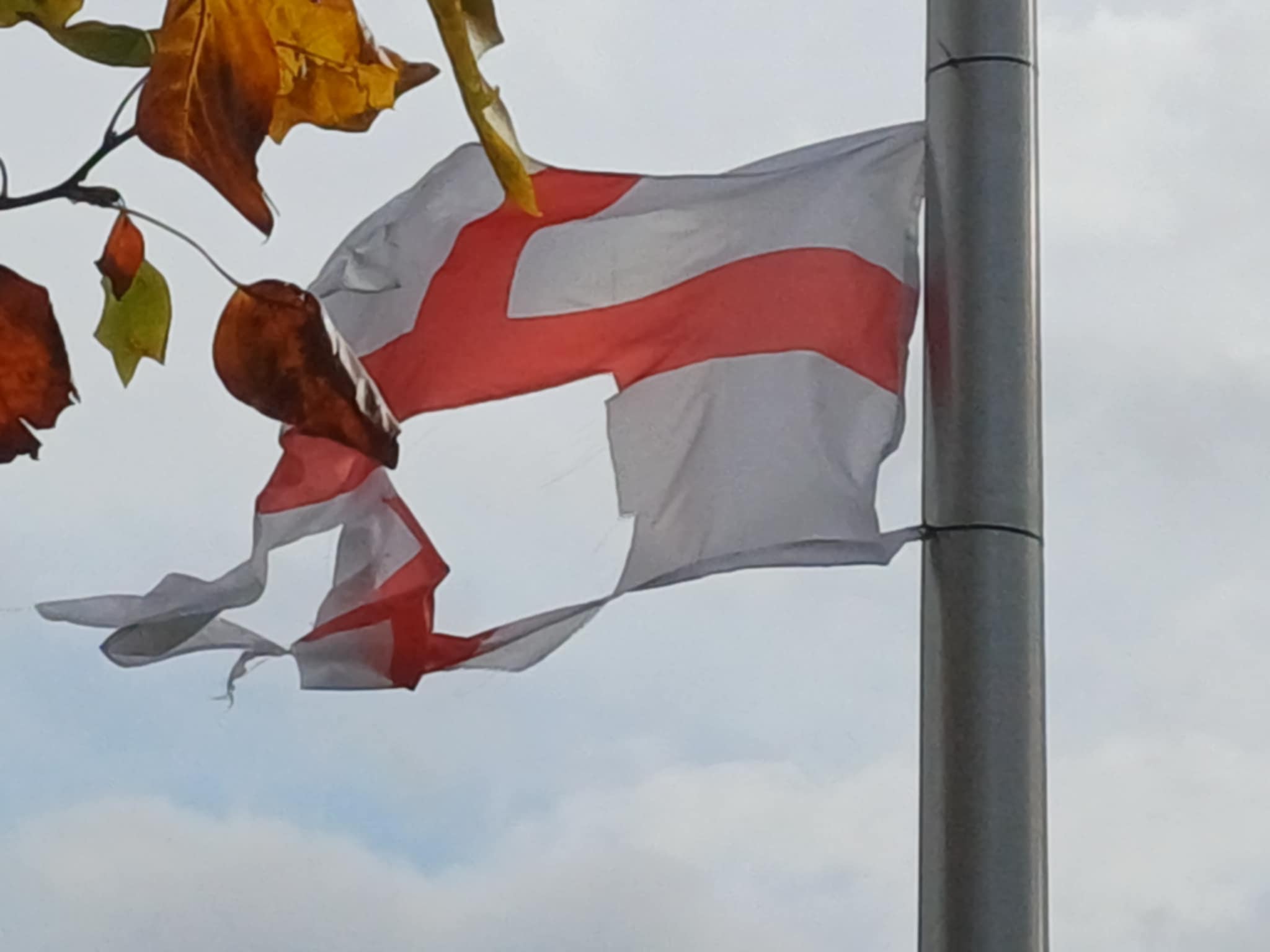 Flagshagging